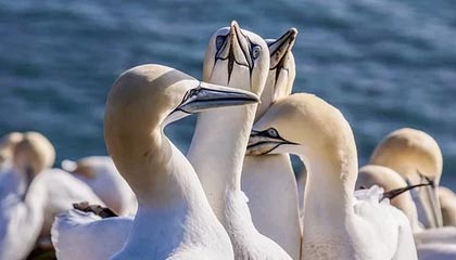 传奇私服发布网站