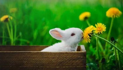 三端互通传奇手游开服列表